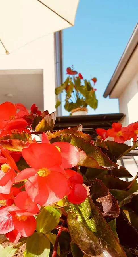 Apartment Studio Benassi Porec