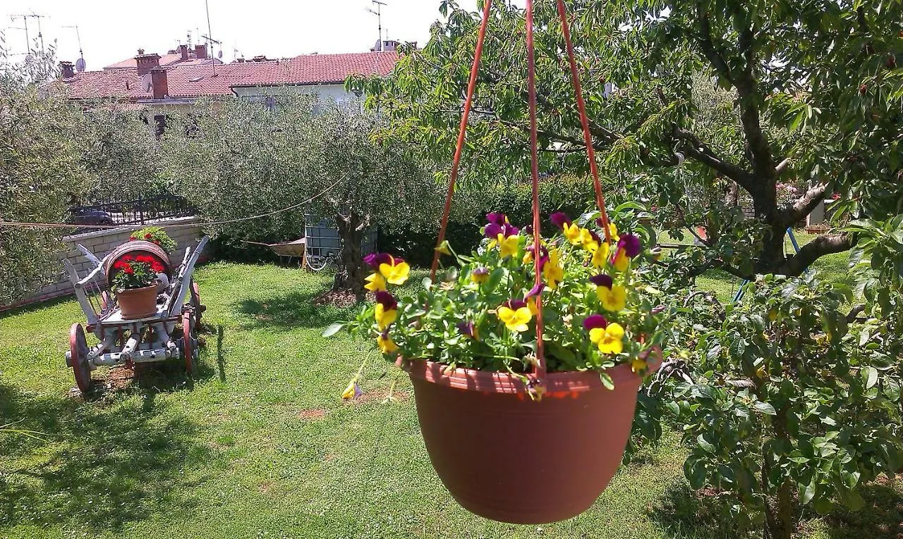 Studio Benassi Porec Croatia